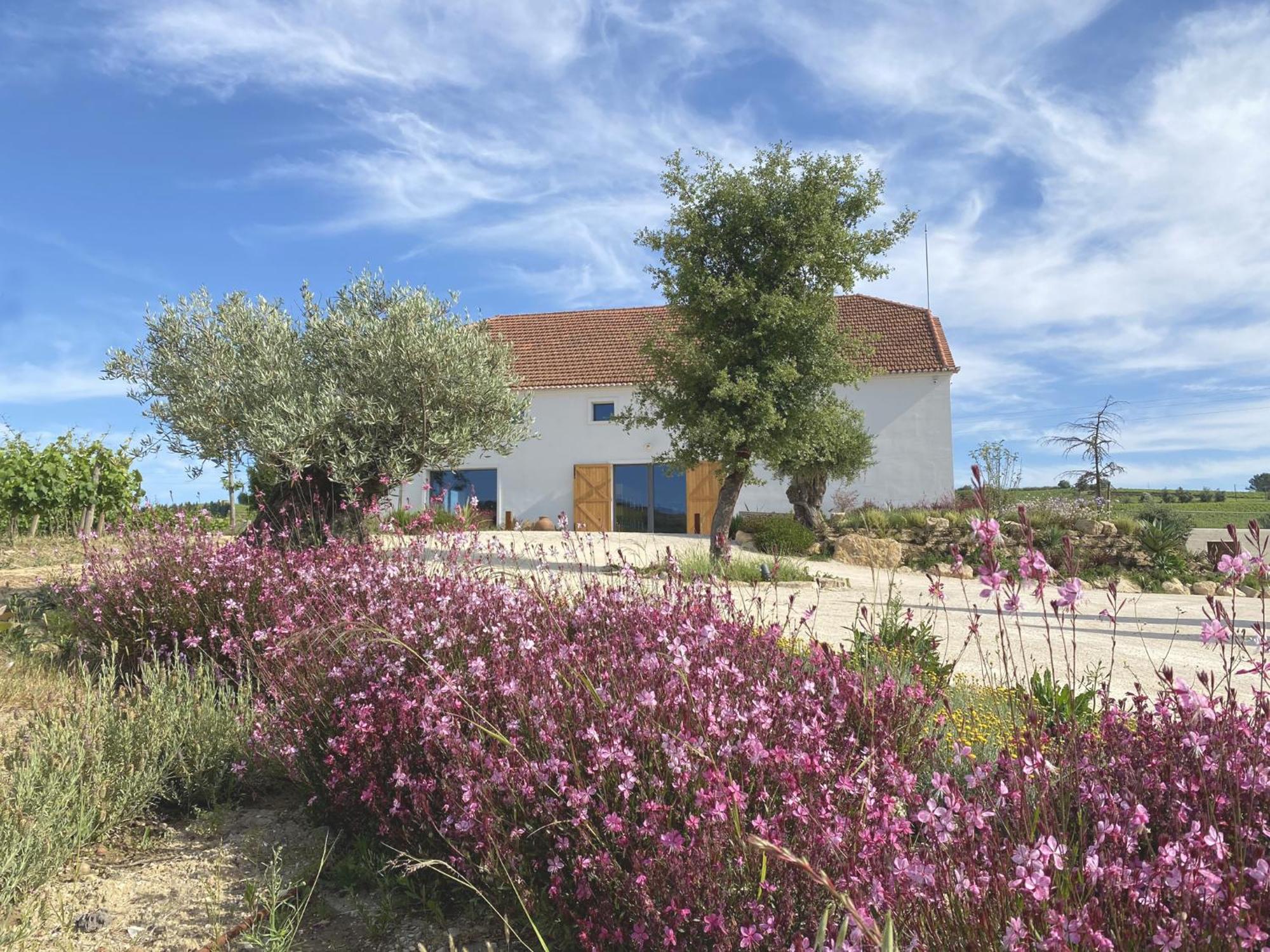Cas'Amaro Villa Alenquer Bagian luar foto